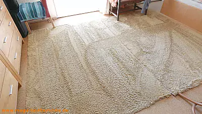 Teppich gesaugt