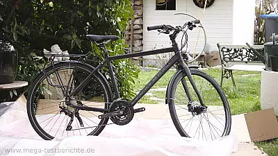 Fahrrad Raymon Urbanray 3.0 44