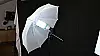 Fotostudio im Test - Schirm mit Lampe