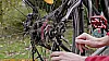 Fahrrad Kassette wechseln - Schnellspannhebel Fahrrad Kassette wechseln - Schnellspannhebel