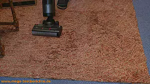 Wischsaugers auf einem dicken Teppich - Klappt nur suboptimal
