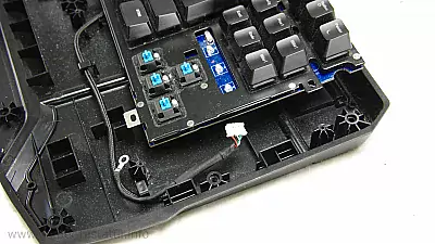 Keycaps entfernt - Blue Switches sind sichtbar